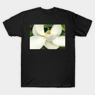 The Sweet White Magnolia T-Shirt